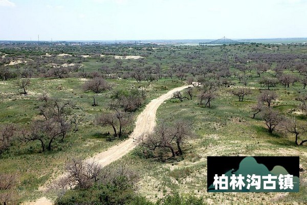 通榆向海国家级自然保护区旅游攻略